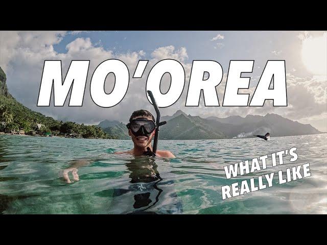 Island Life: A Moorea Travel Vlog | French Polynesia Adventure