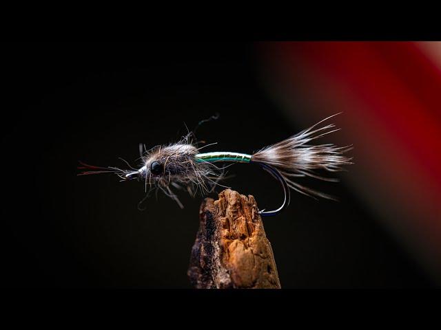 This is the UGLIEST FLY in the WORLD! It´s very DEADLY though -  Find out why in this tutorial!