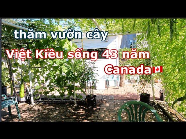 Thăm nhà Việt Kiều sống 43 năm tại Canada  