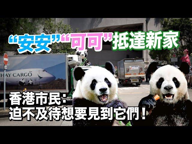 大熊貓“安安”“可可”抵達香港海洋公園　香港市民：迫不及待想要見到它們！