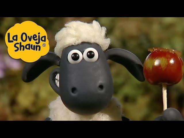 La Oveja Shaun  Manzana caramelizada  Dibujos animados para niños