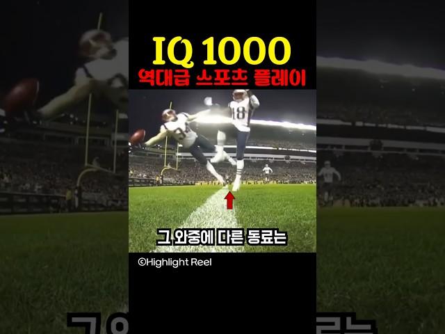 IQ 1000 역대급 스포츠 플레이