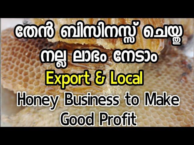 Honey Business/Export Quality Product/തേൻ ബിസിനസ്‌ ചെയ്ത് എങ്ങനെ നല്ല ലാഭം നേടാം/@ljtips4378