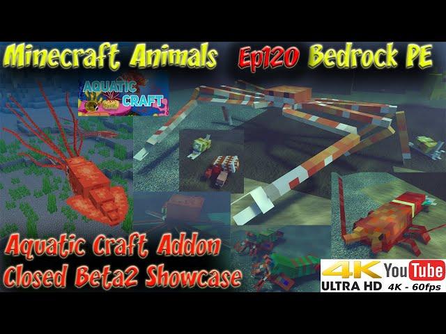 Aquatic Craft Addon Closed Beta2 Showcase BedrockPE Minecraft Animals Ep120