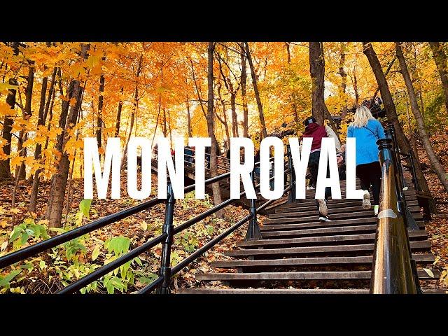 Mont Royal Montreal - Mount Royal Park Hike Montreal , Canada