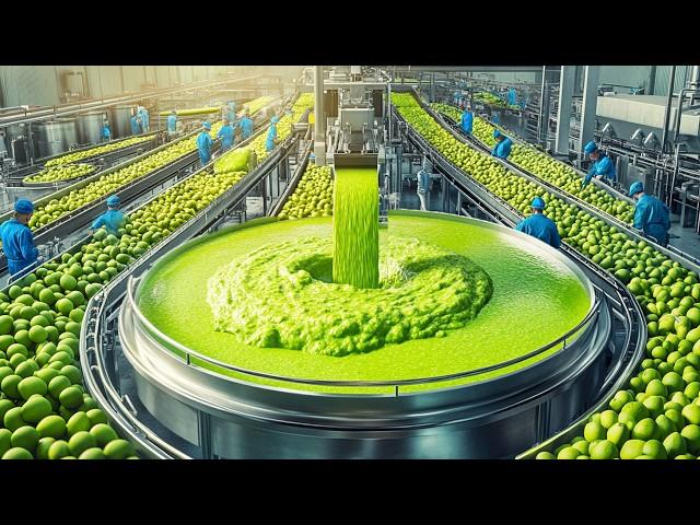 How Guacamole Sauce is Produced in Factory | The Avocado’s Journey