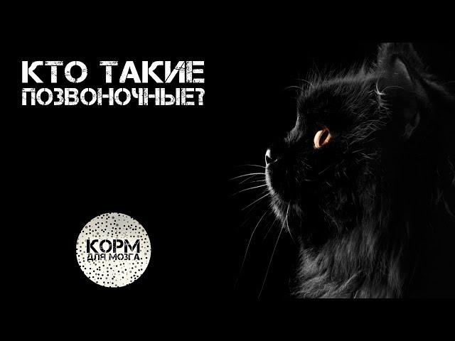 Кто такие позвоночные?