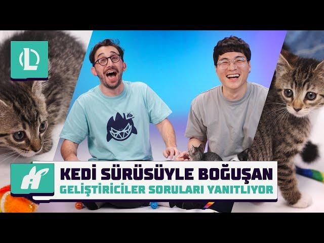 Kedi Sürüsüyle Boğuşan Geliştiriciler Soruları Yanıtlıyor | League of Legends