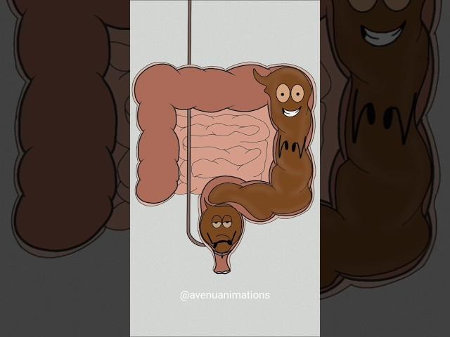 how poop system works!  (best animation memes) #shorts