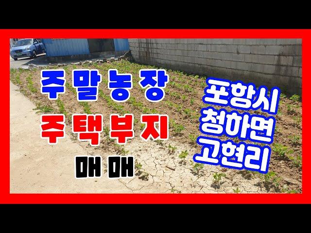 341. 고현리 주말농장매매 개울옆 청하면 주택부지 매매  주말농장으로 활용중 포항 대지매매