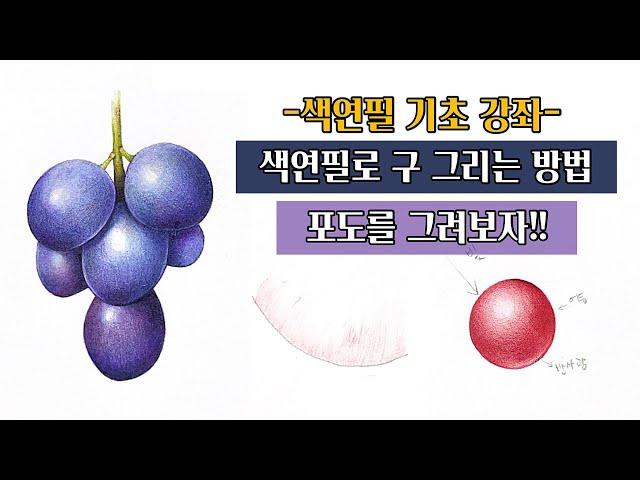 색연필 기초 강좌/색연필로 구 그리는 방법/구를 사용해서 포도 그리기/색연필보태니컬아트/botanical art