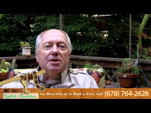 Atlanta Reptile Party - Mr. Gregs Reptile Roadshow