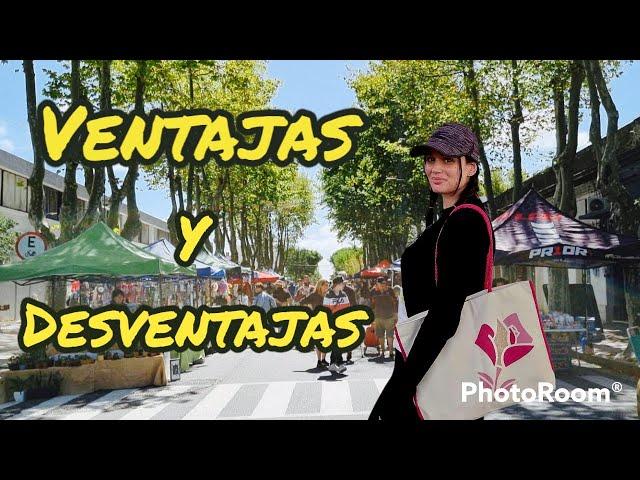 Por qué no estoy más en la feria? Ventajas y desventajas de trabajar en la feria de Uruguay