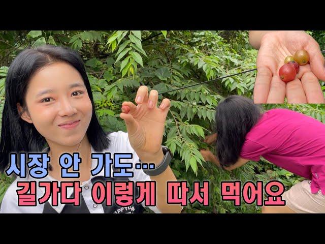 (길거리음식) 한끼정도는 길에서 해결가능해요 street food