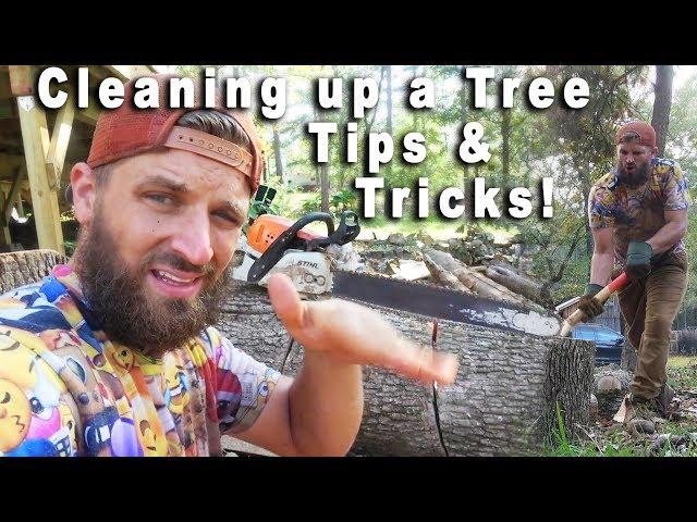 From tree to firewood! All the tips you'll ever need!