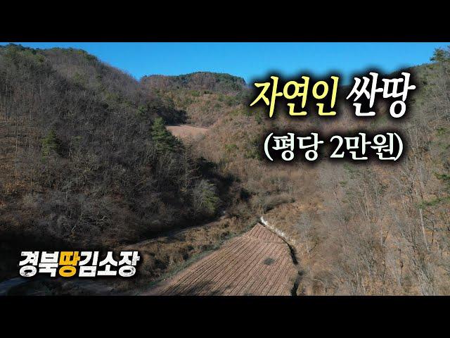 경북땅김소장[매번823번] 자연인땅 평당2만원