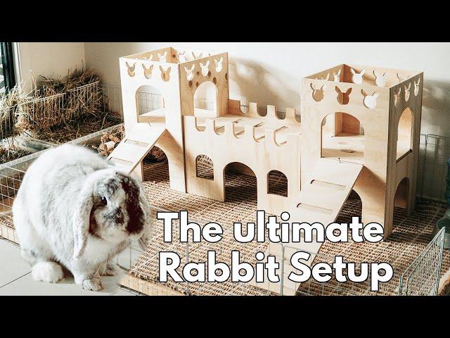 The ULTIMATE Rabbit Setup Guide