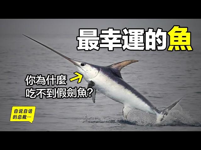 劍旗魚：從神聖美味到賤價出售，為什麼從沒有人做假劍魚？原來，這位持劍少年，竟然是唯一戰勝過人類的海鮮……|自說自話的總裁