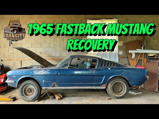 Barn find! 1965 Fastback Mustang out Pittsburgh. 289 V8 4 speed.