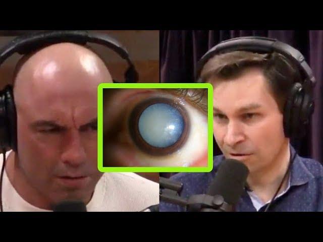How Science Could Return Eyesight to the Blind | Joe Rogan and David Sinclair