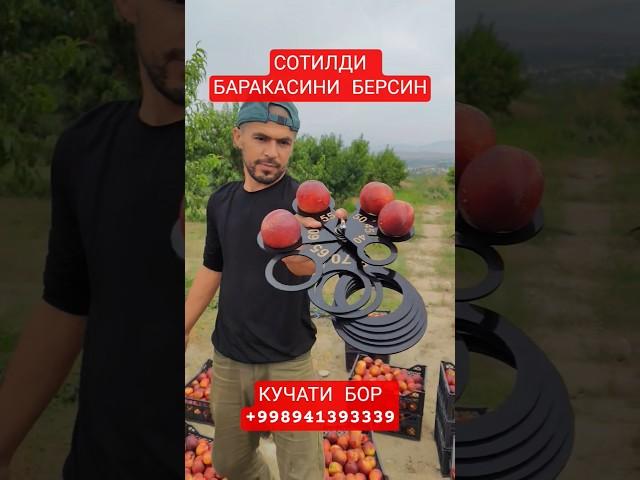 фантазия шафтоли #рек #fruit #farming