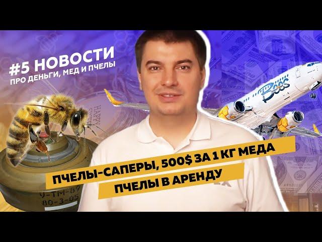 Новости пчеловодства #5 / Пчелы-саперы, 500$ за 1 кг меда, пчелы в аренду