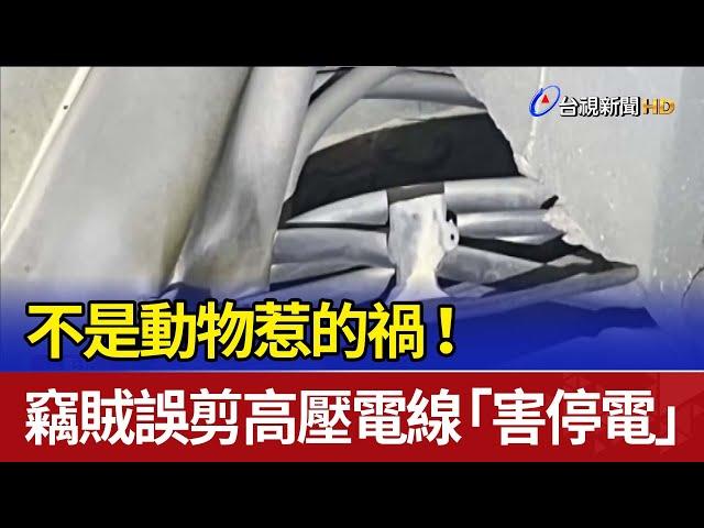 不是動物惹的禍！ 竊賊誤剪高壓電線「害停電」