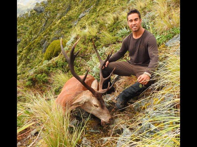 Hard Yards Stag - Red Deer, Chamois, Tahr & Roar Hunt