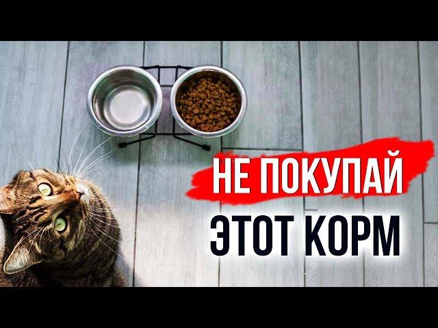 Как за 5 секунд отличить хороший корм для кошек от плохого