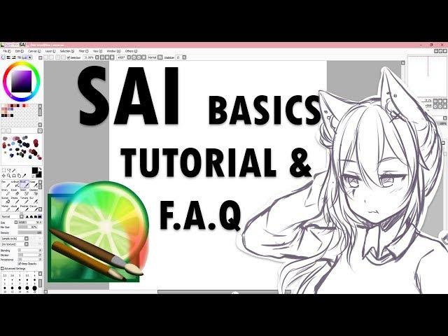 【Paint Tool SAI】 Beginners guide & Basics