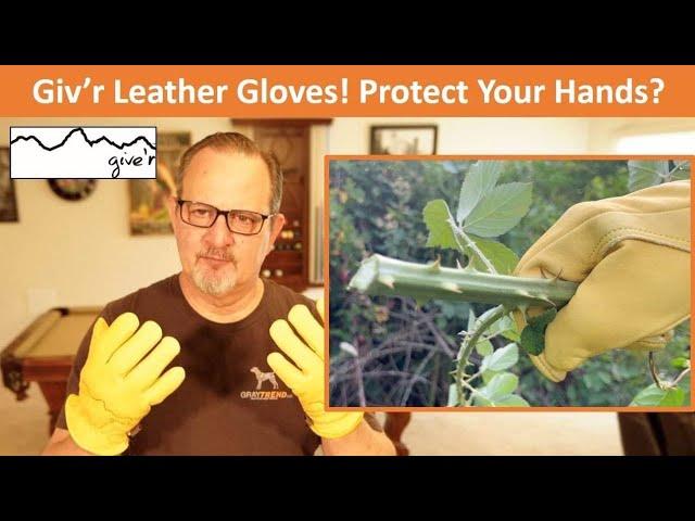 Giv'r Leather Gloves! Do They Really Protect Your Hands??? #gardening #gloves #leather