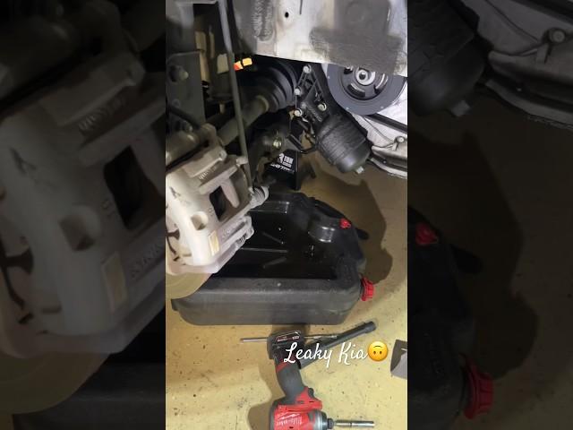 Kia Sorento 2019 ‍Oil Leak Issue. Fix This ASAP! Oil Filter Housing #diy #kia #car #shorts