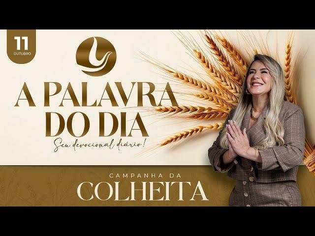 A PALAVRA DO DIA - Campanha da Colheita | 11 OUT 2024 | @VirginiaArruda