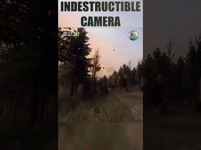 Indestructible Camera in Dirt Rally 2.0