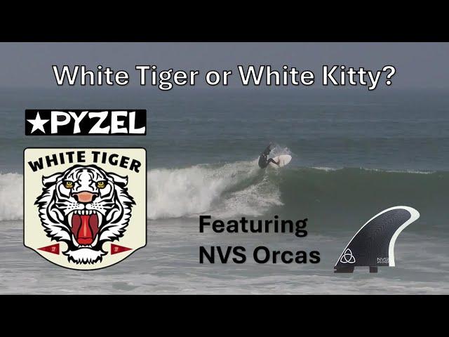 White Tiger or White Kitty?  Pyzel Surfboard Review