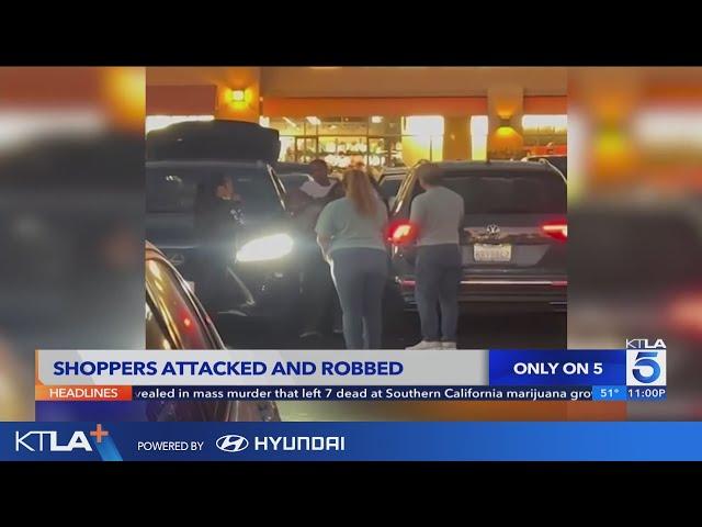 Citadel Outlet shoppers attacked, robbed in parking lot