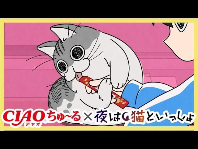 アニメ『夜は猫といっしょ』×CIAOちゅ～る【コラボCM公開!!】