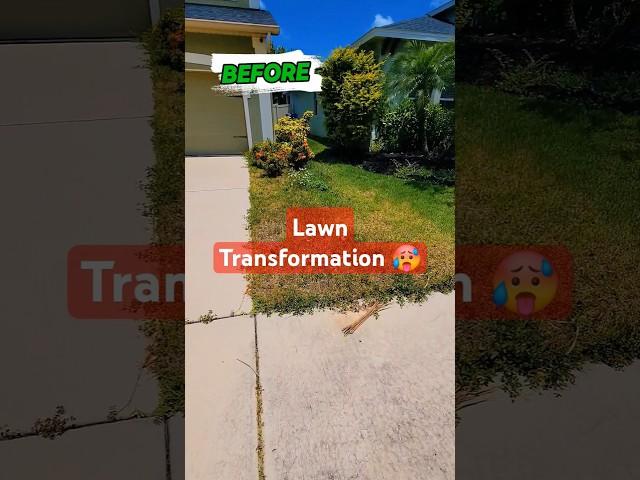 lawn Transformation!!!#lawn #lawncare #beforeandafter #lawncarelife #lawncarecommunity