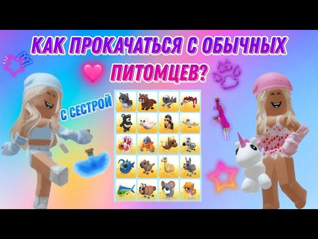 Как прокачаться с обычных питомцев?  #adoptme #роблокс #адоптми #игры #roblox #прокачка