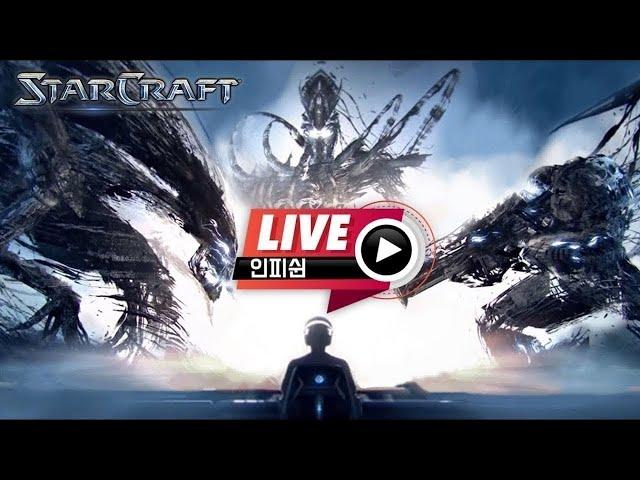 25.04.06(일) 【 인피쉰 생방송 다시보기 】 스타 빨무 스타크래프트 Starcraft