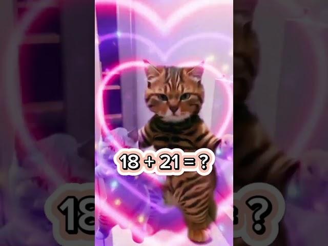 Let's think fast #brainblitz #mathmasters #cutecat  #mathchallenge