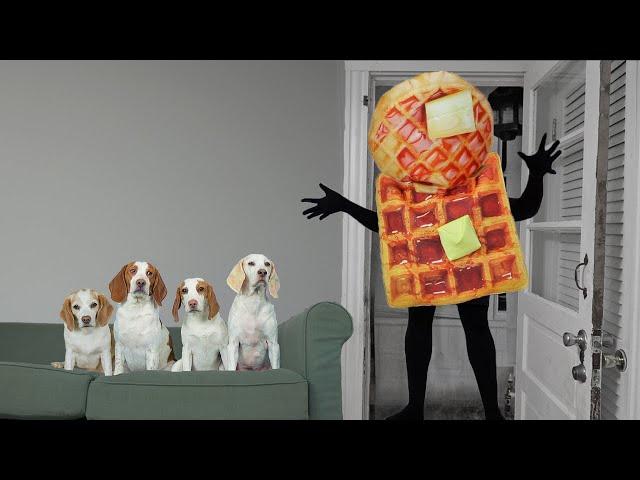 Dogs vs Waffle Head Prank! Funny Dogs Maymo, Penny, Potpie & Indie Invaded by Waffles