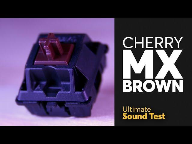 The Ultimate CHERRY MX BROWN Sound Test | Overrated Tactile Switch?