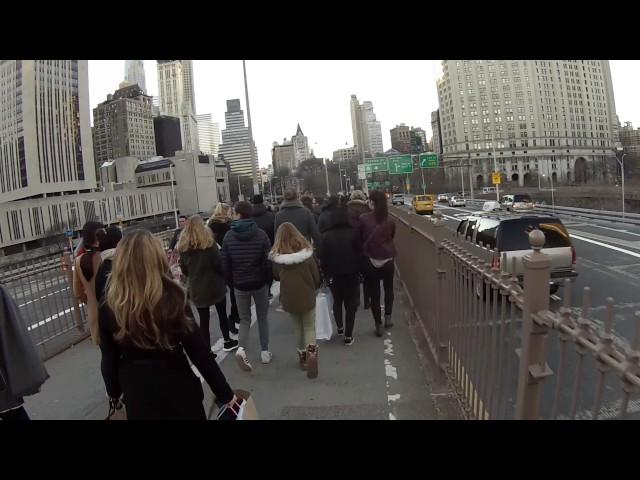 Bike Lane Hero. New Years Day.