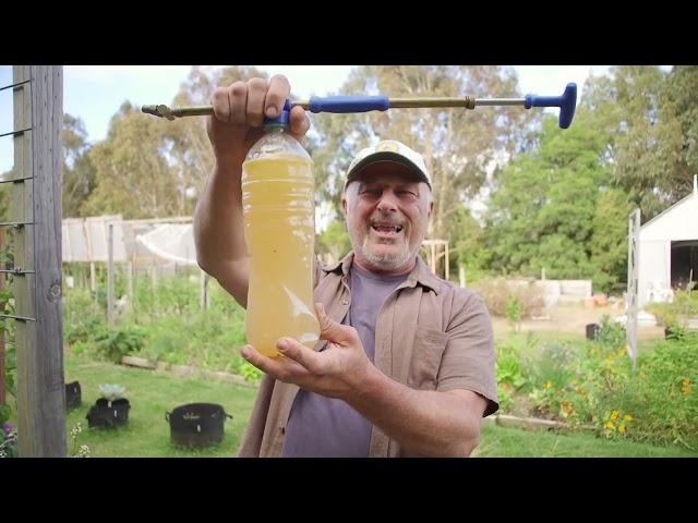 How To Make A Safe Homemade Insecticide Spray