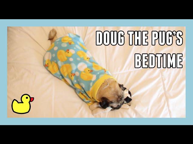 Doug the Pug's Bedtime