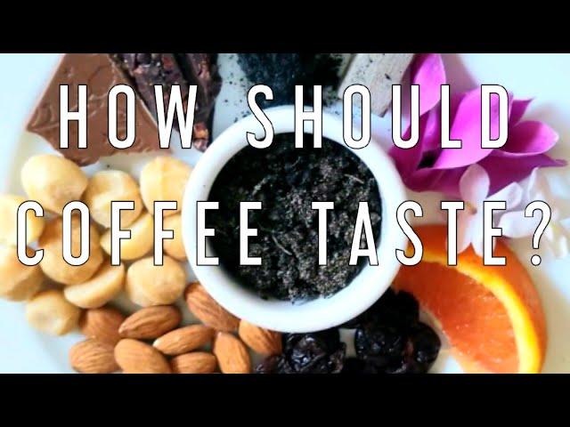 HOW SHOULD COFFEE TASTE?
