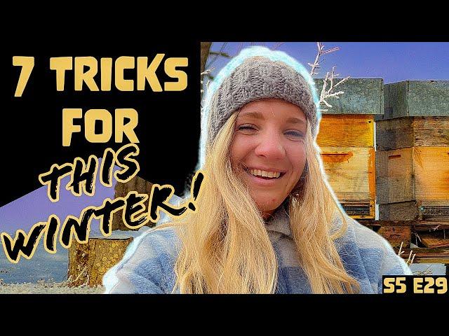 DON'T Let These Winter Beekeeping Mistakes Kill Your Hives! / Beekeeping 101 #beekeeping