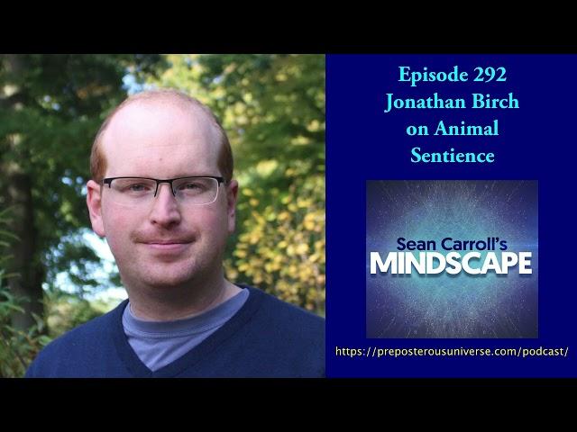 Mindscape 292 | Jonathan Birch on Animal Sentience