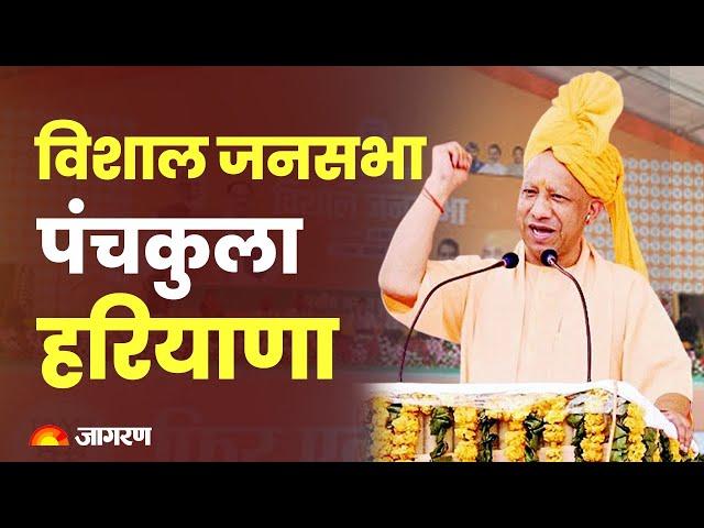 LIVE: UP CM Yogi Adityanath addresses public meeting in Panchkula | Haryana Election 2024